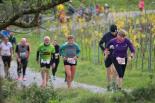 wallisellerlauf2022beatnaefDSC1423