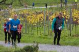 wallisellerlauf2022beatnaefDSC1436