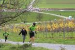wallisellerlauf2022beatnaefDSC1475