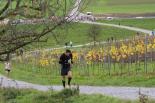 wallisellerlauf2022beatnaefDSC1476